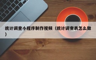 莘县统计调查小程序制作视频（统计调查表怎么做）