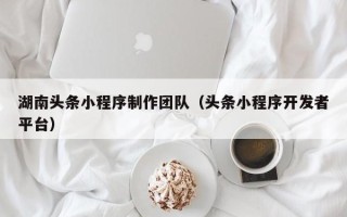 莘县湖南头条小程序制作团队（头条小程序开发者平台）