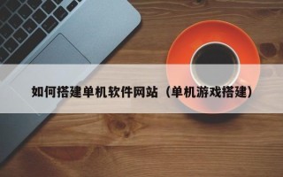 莘县如何搭建单机软件网站（单机游戏搭建）