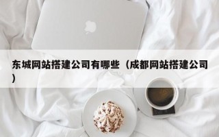 莘县东城网站搭建公司有哪些（成都网站搭建公司）